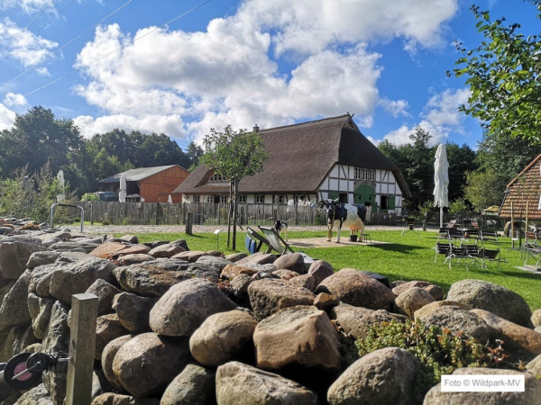 Erlebnisbüdnerei  Wildpark-MV